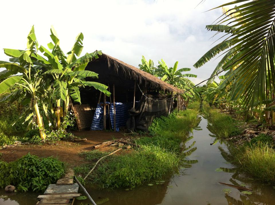 CBA Climate-Smart Farming (Photo: E. Parry, 2015)