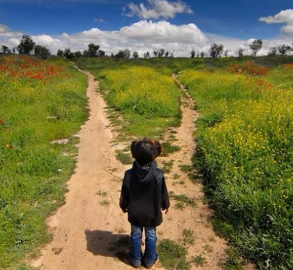 a person at a path splitting two ways