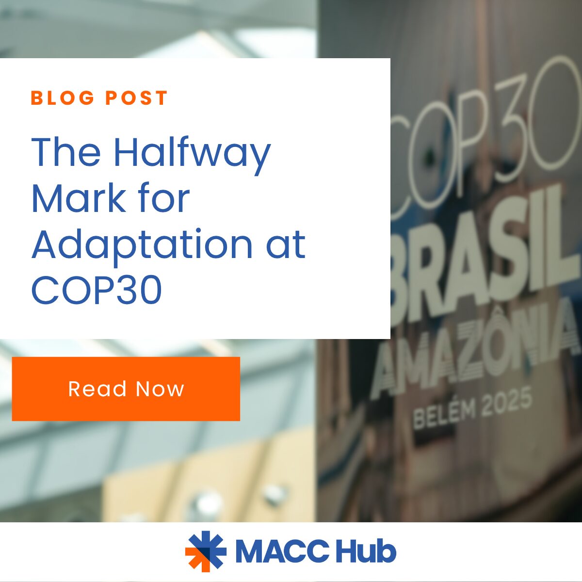 Title of the blog: The Halfway Mark for Adaptation at COP30