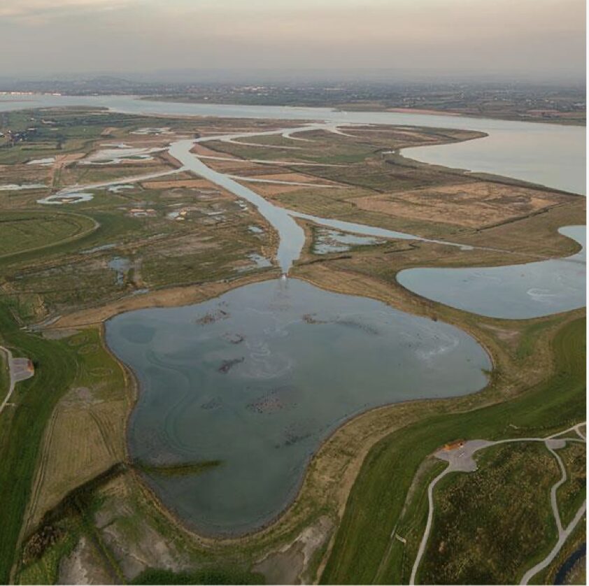 Saltmarsh at Steart, UK