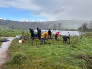 Community members growing and processing flax at Waterworks Community Gardens in north Belfast.